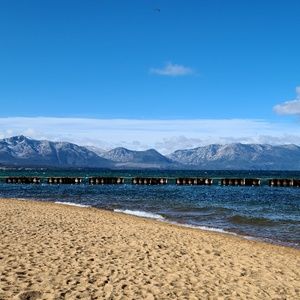 Meet your Posher, Larry